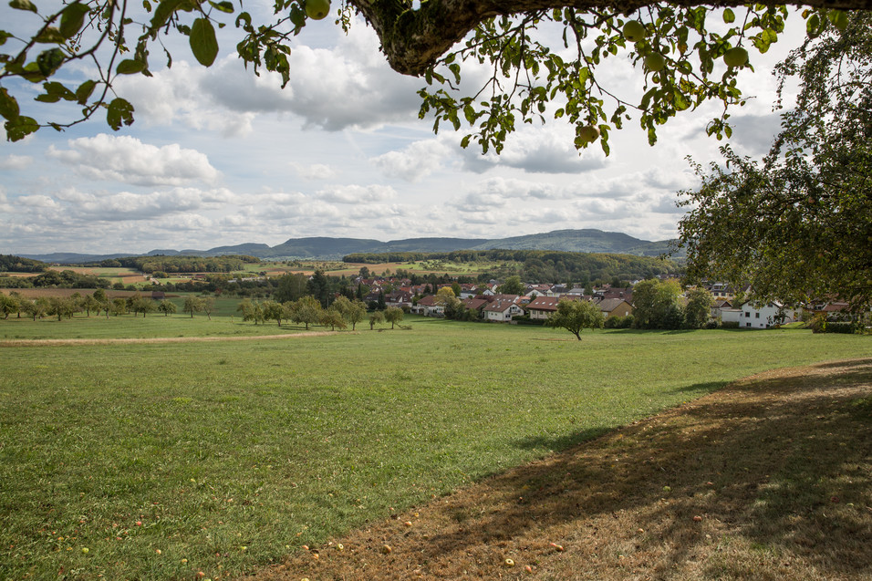 Bild: Wiese und Blick auf die Gemeinde Hattenhofen